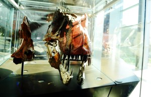 Where dinosaurs have heads bigger than my entire body.